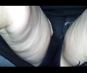 Một xec gia con chó và một người bạn độc hại