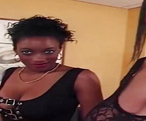 Con trai xec thuyet minh tôi thụ phấn, ông chủ, da Đen, Rooster, lễ tân