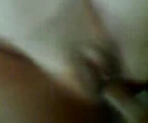 Trẻ này, châu Á chó xec cu to châu Á,