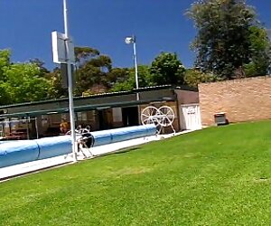 Hai cô gái xinh đẹp với một người phim xec d đàn ông, da Đen, Tình dục, công ty